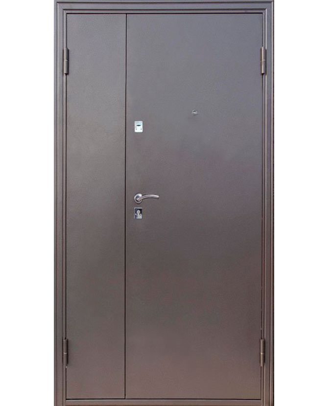 Дверь входная подъездная Порошок 1124