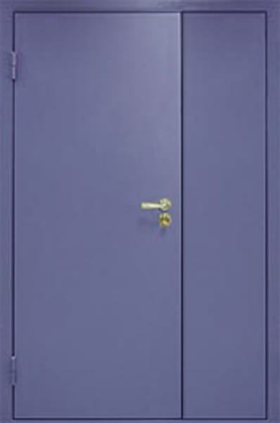 Дверь техническая стальная входная Порошок 604